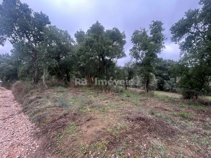 Terreno Agricola ou Rústico para Venda em Olalhas Foto 3