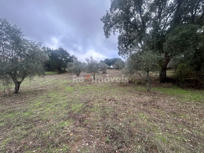 Terreno Agricola ou Rústico para Venda em Olalhas Foto 9