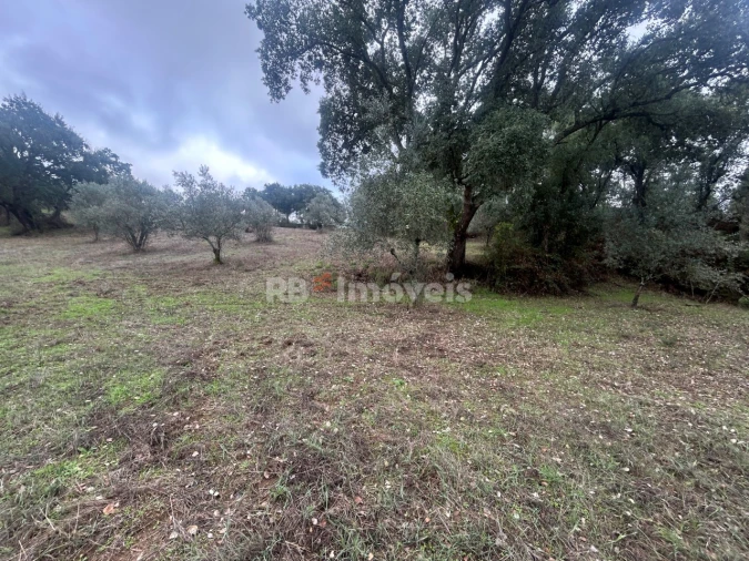 Terreno Agricola ou Rústico para Venda em Olalhas Foto 11