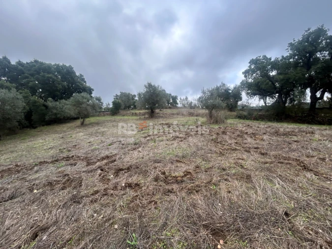 Terreno Agricola ou Rústico para Venda em Olalhas Foto 17