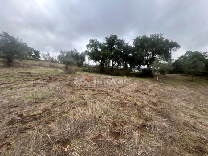 Terreno Agricola ou Rústico para Venda em Olalhas Foto 18