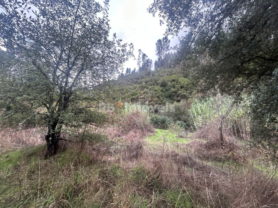 Terreno Agricola ou Rústico para Venda em Olalhas Foto 7