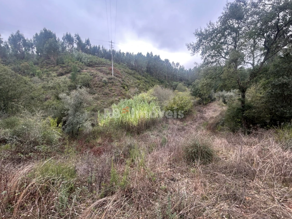 Terreno Agricola ou Rústico para Venda em Olalhas Foto 11