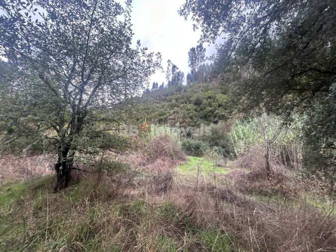 Terreno Agricola ou Rústico para Venda em Olalhas Foto 7
