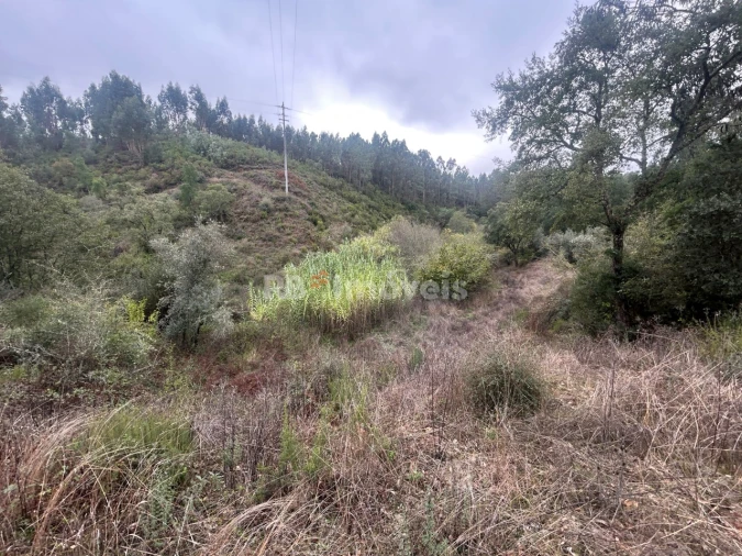 Terreno Agricola ou Rústico para Venda em Olalhas Foto 11