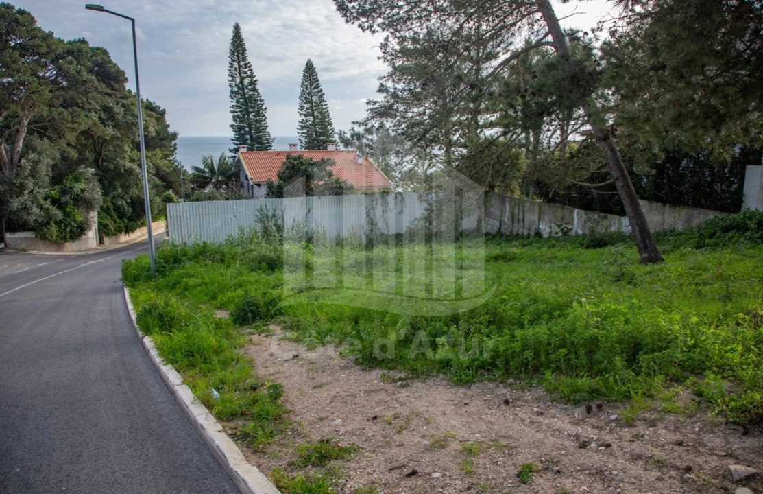 Terreno para Venda em Sesimbra (Santiago) Foto 3