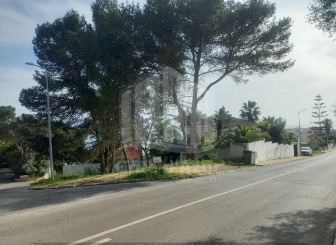 Terreno para Venda em Sesimbra (Santiago) Foto 8