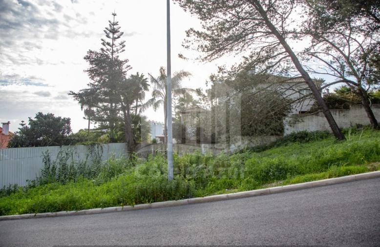 Terreno para Venda em Sesimbra (Santiago) Foto 5