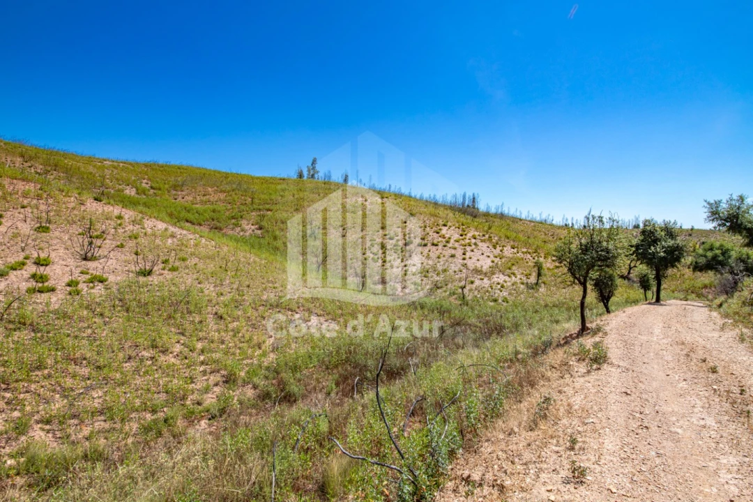Terreno para Venda em Saboia Foto 5