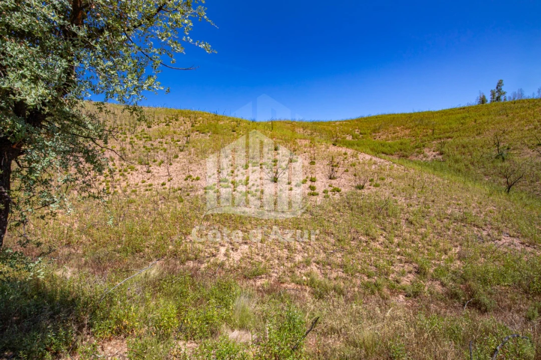 Terreno para Venda em Saboia Foto 9