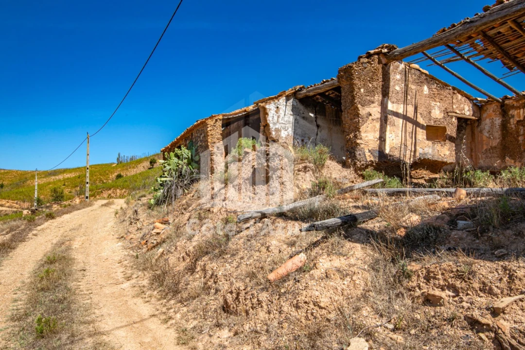 Terreno para Venda em Saboia Foto 13