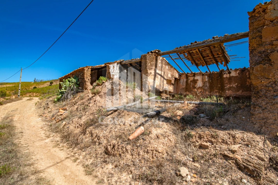 Terreno para Venda em Saboia Foto 15