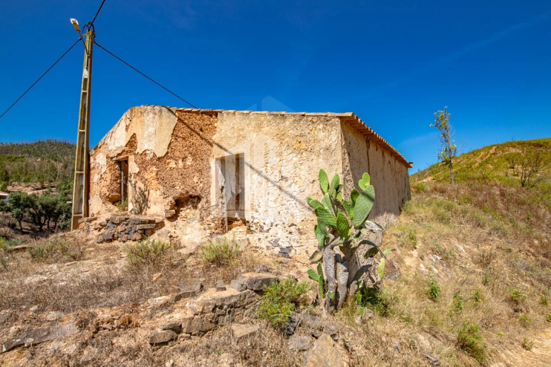 Terreno para Venda em Saboia Foto 19