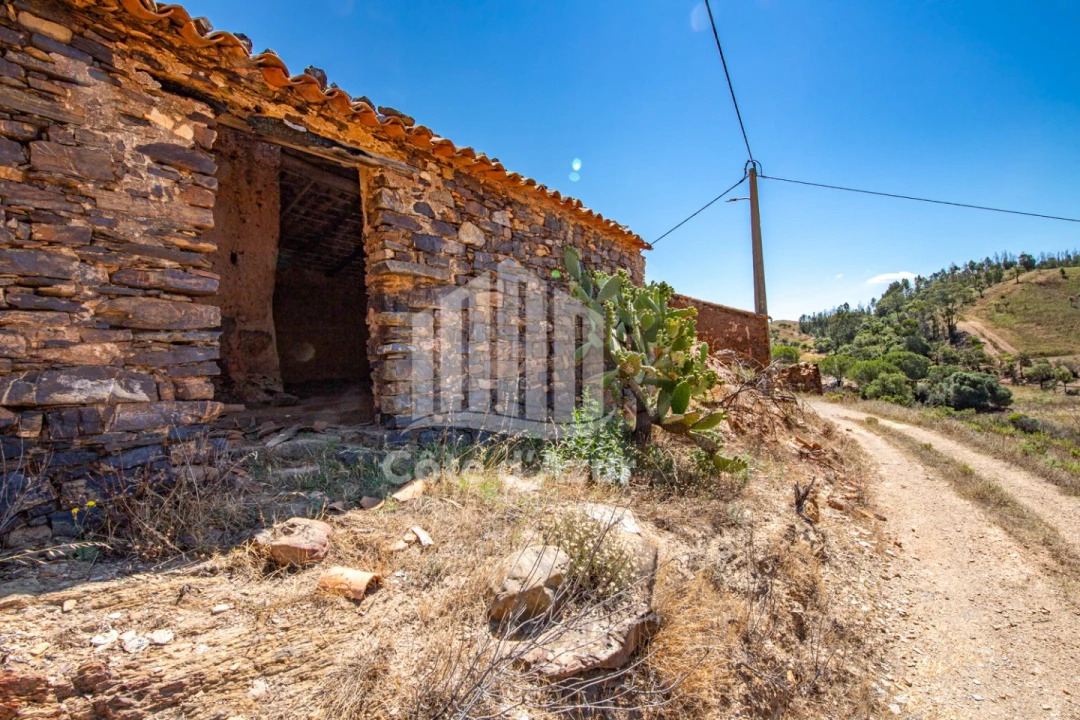 Terreno para Venda em Saboia Foto 20