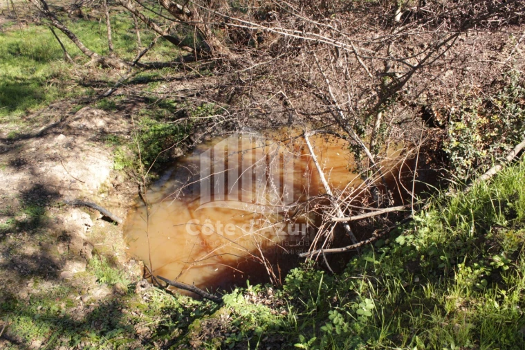Terreno para Venda em Saboia Foto 3