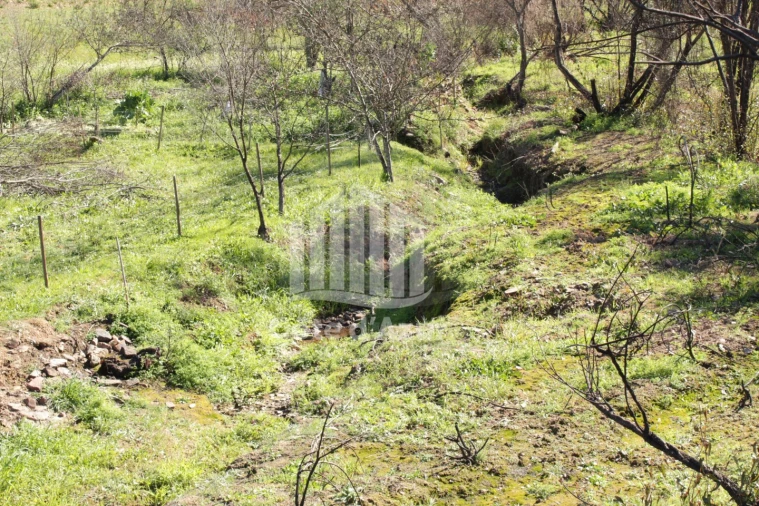 Terreno para Venda em Saboia Foto 7