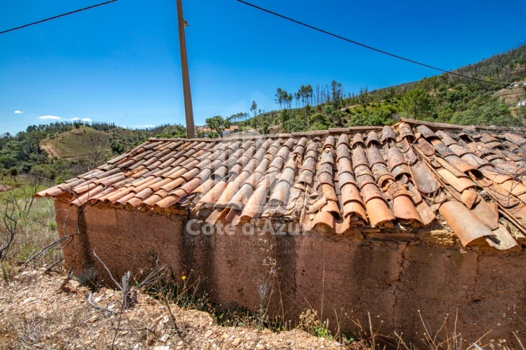 Terreno para Venda em Saboia Foto 10