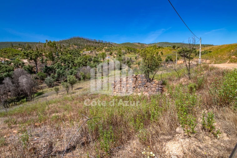 Terreno para Venda em Saboia Foto 12