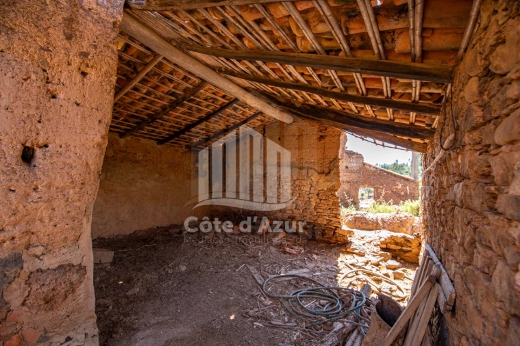 Terreno para Venda em Saboia Foto 24