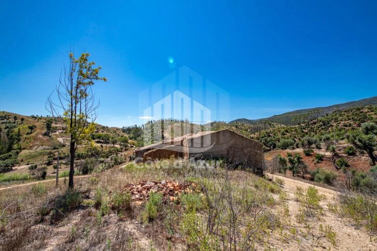 Terreno para Venda em Saboia Foto 25