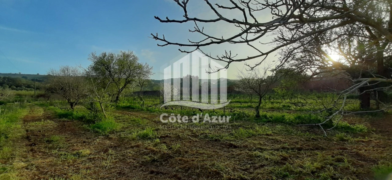Terreno para Venda em Quinta do Anjo Foto 1