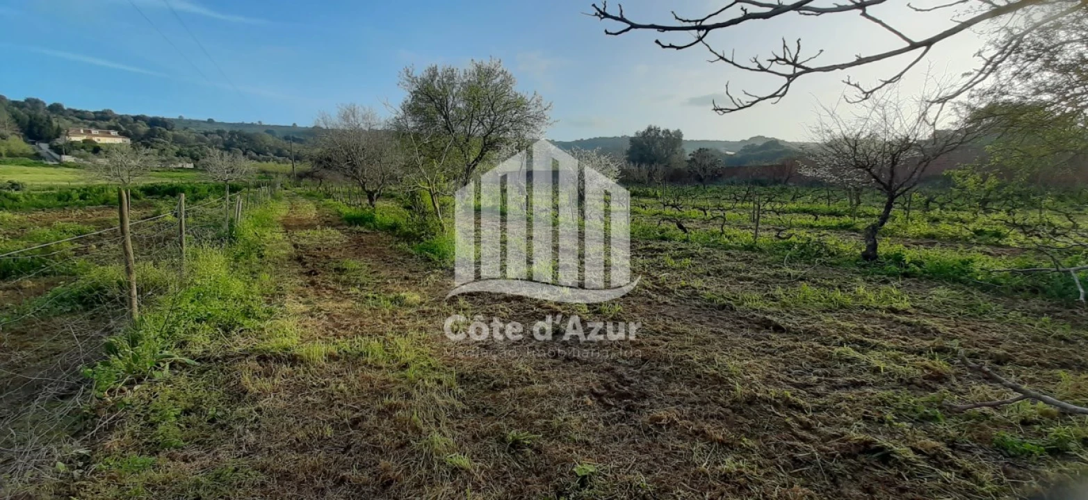 Terreno para Venda em Quinta do Anjo Foto 2