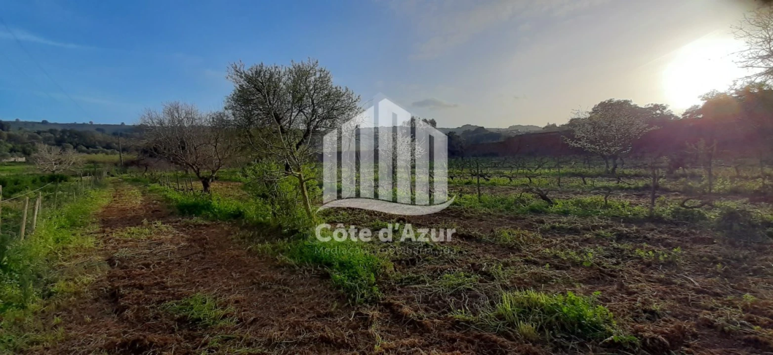 Terreno para Venda em Quinta do Anjo Foto 3