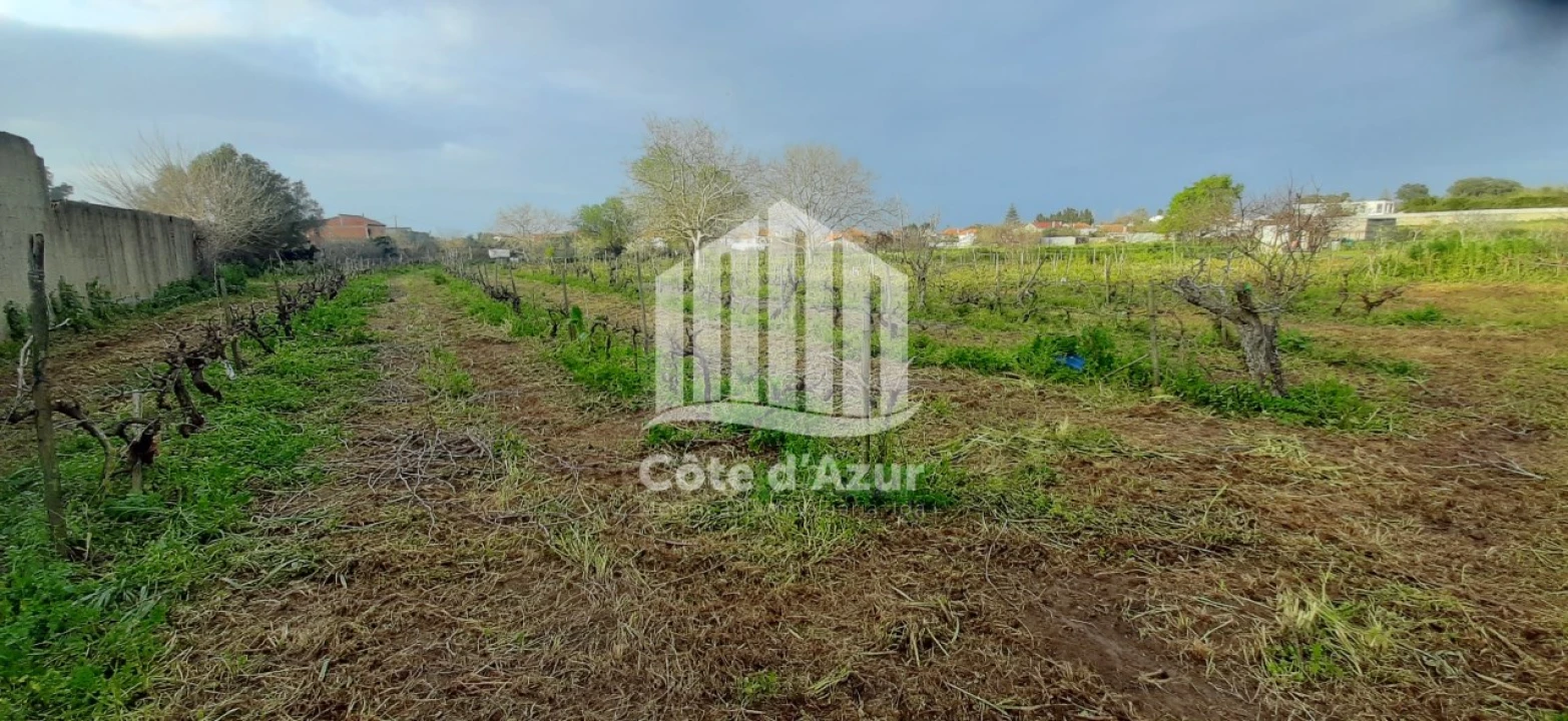Terreno para Venda em Quinta do Anjo Foto 6
