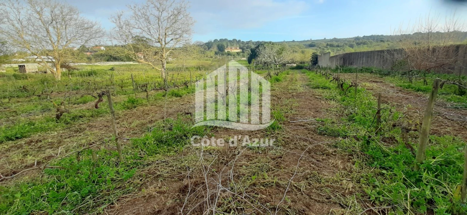 Terreno para Venda em Quinta do Anjo Foto 7