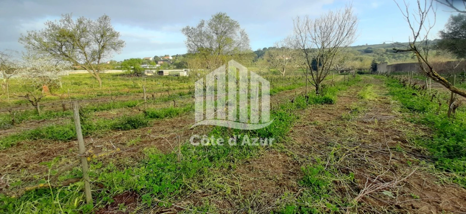 Terreno para Venda em Quinta do Anjo Foto 8