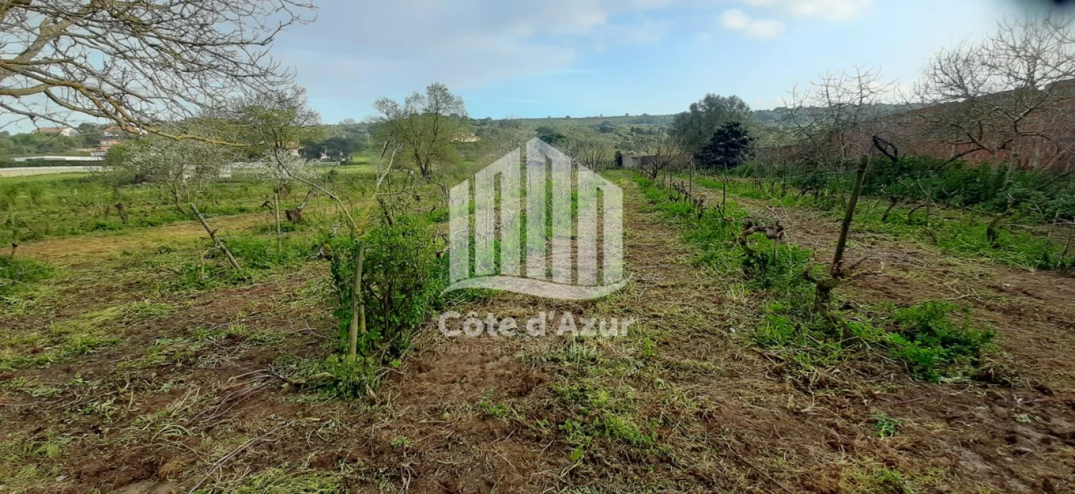 Terreno para Venda em Quinta do Anjo Foto 9
