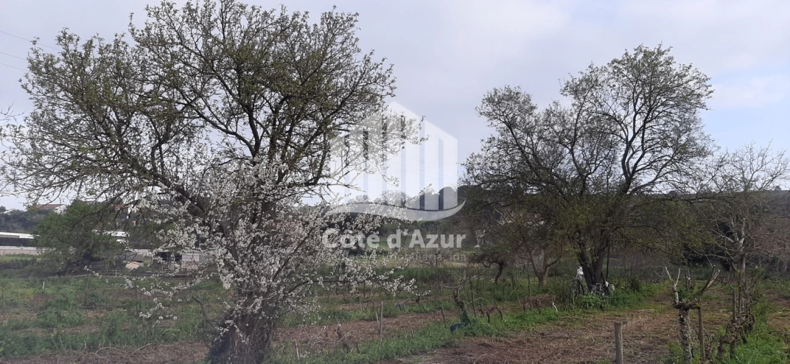 Terreno para Venda em Quinta do Anjo Foto 10