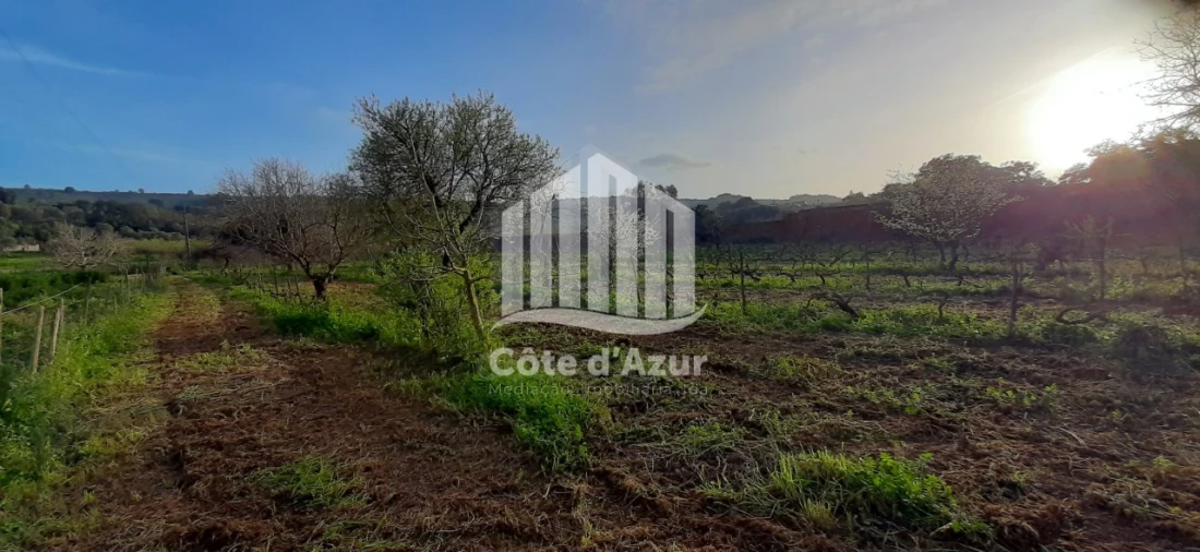 Terreno para Venda em Quinta do Anjo Foto 3