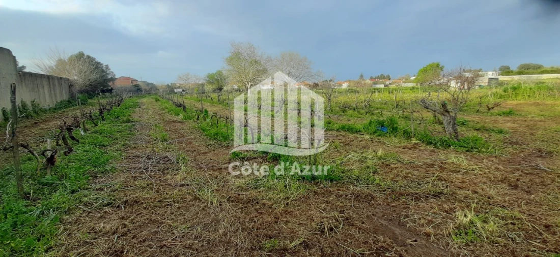 Terreno para Venda em Quinta do Anjo Foto 6