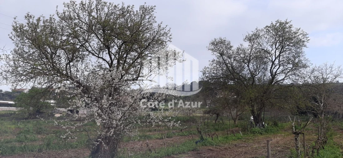 Terreno para Venda em Quinta do Anjo Foto 10