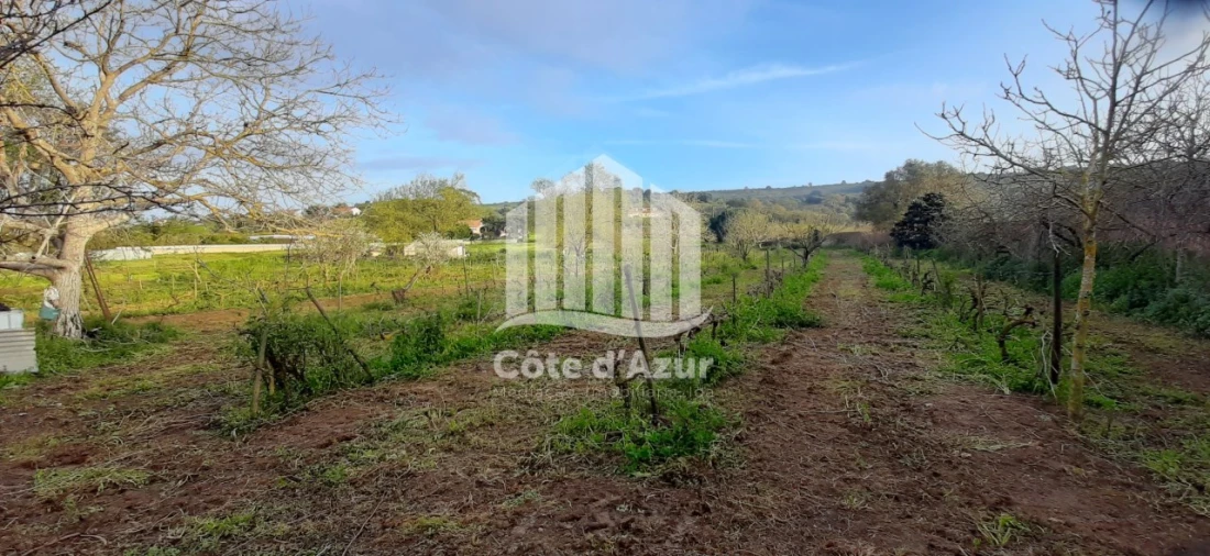 Terreno para Venda em Quinta do Anjo Foto 11
