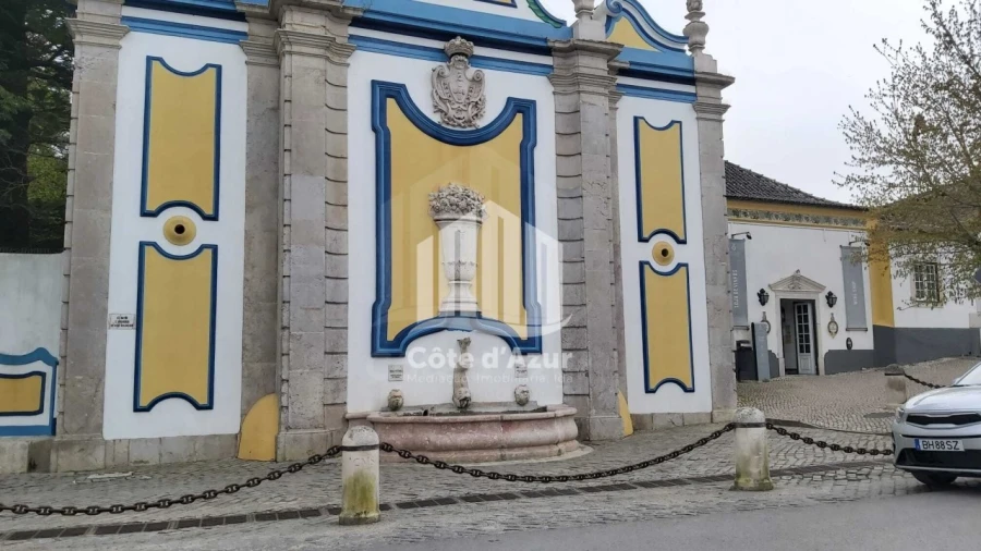 Terreno para Venda em Azeitão (São Lourenço e São Simão) Foto 4
