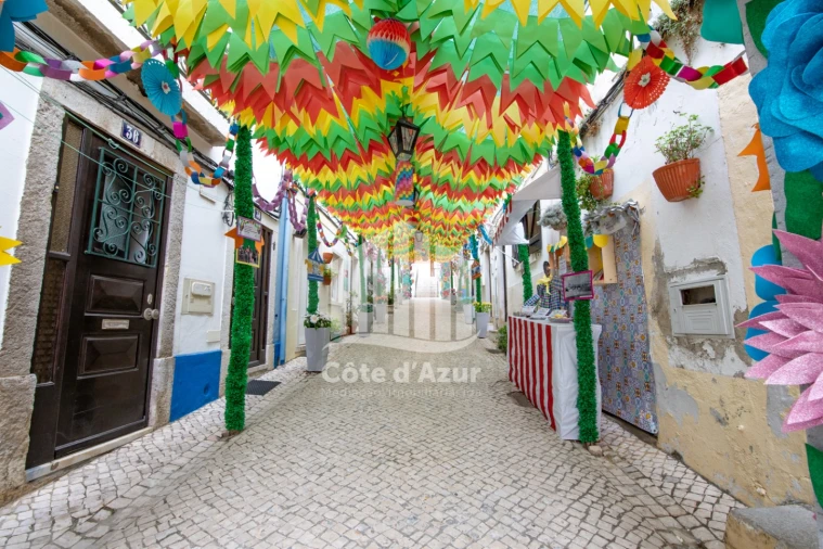 Negócio para Venda em Sesimbra (Santiago) Foto 19