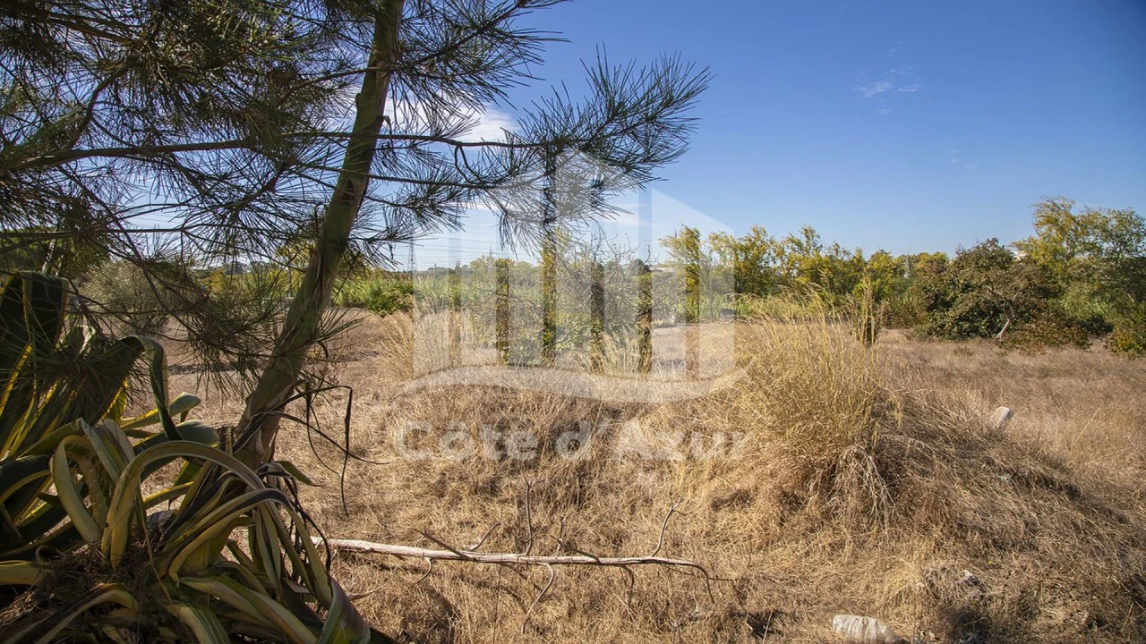 Terreno para Venda em Palhais e Coina Foto 14