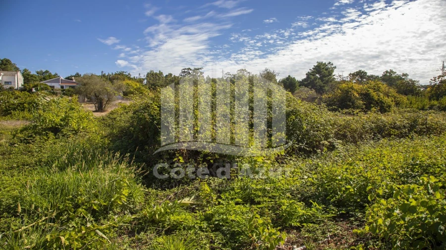 Terreno para Venda em Palhais e Coina Foto 1