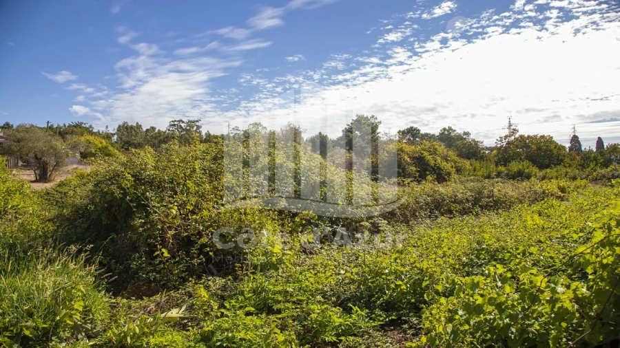 Terreno para Venda em Palhais e Coina Foto 3