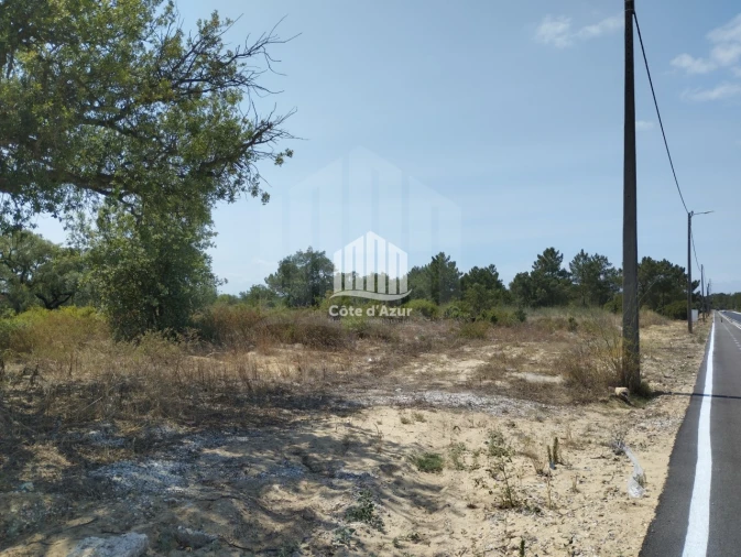 Terreno para Venda em Quinta do Anjo Foto 3