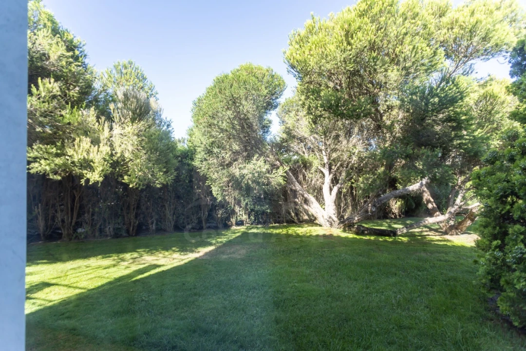 Moradia T5 para Venda em Carvalhal Foto 21