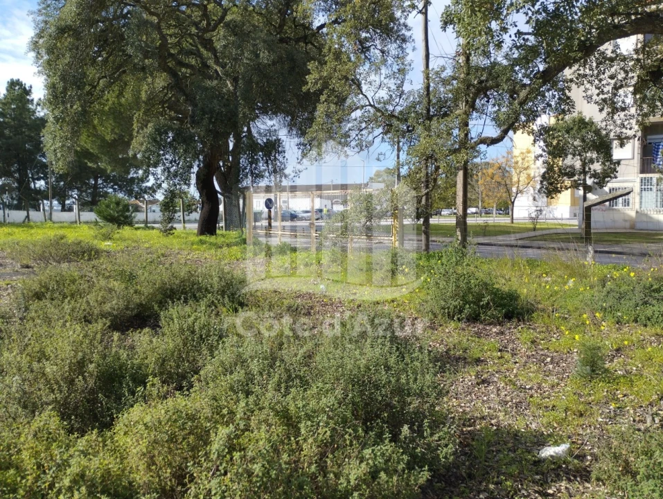 Terreno para Venda em Santo Antonio da Charneca Foto 10