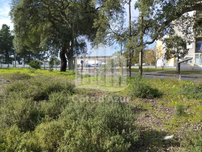 Terreno para Venda em Santo Antonio da Charneca Foto 10