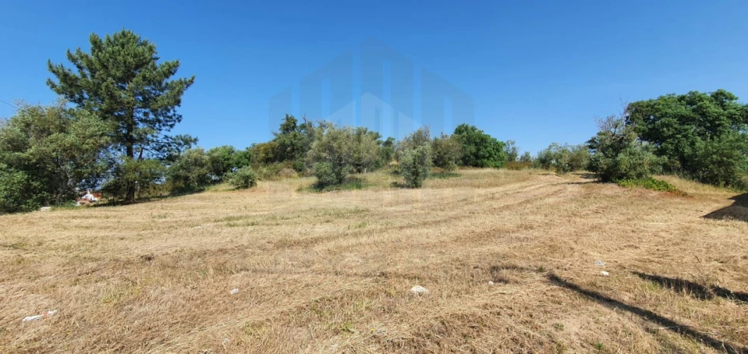 Terreno para Venda em Sado Foto 3