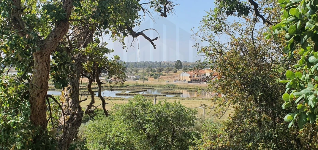 Terreno para Venda em Sado Foto 8