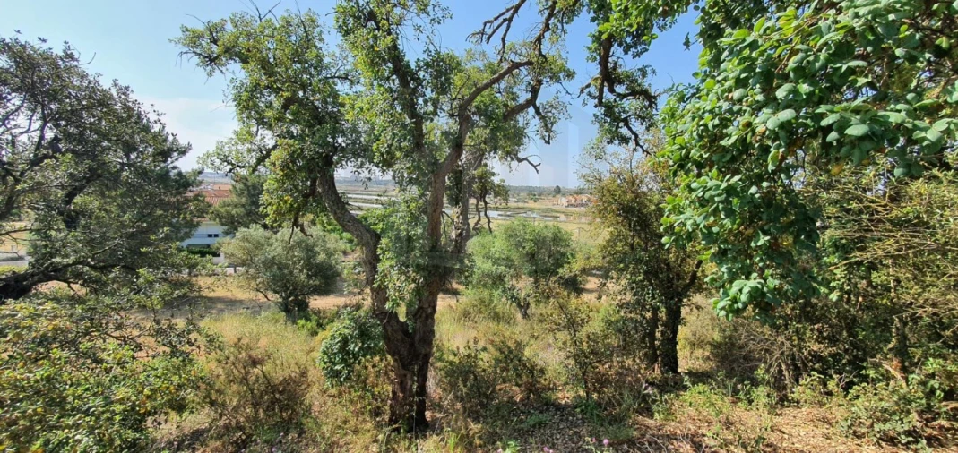 Terreno para Venda em Sado Foto 9