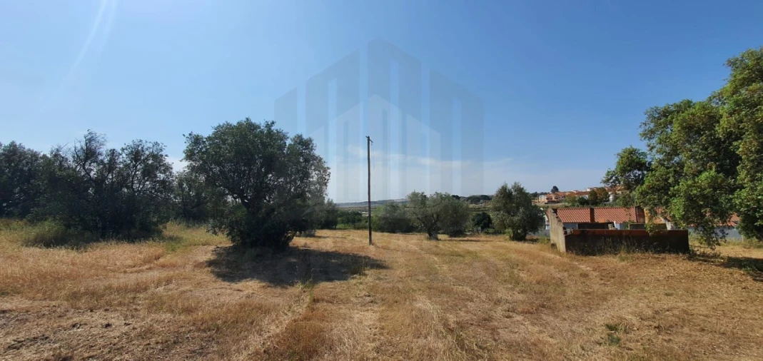 Terreno para Venda em Sado Foto 11