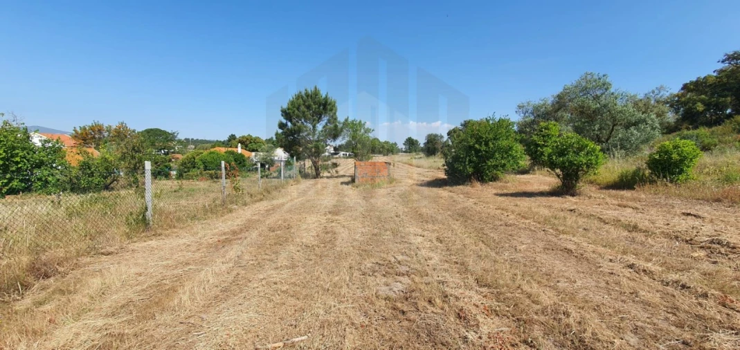 Terreno para Venda em Sado Foto 12